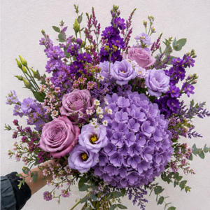 Éclat Violet